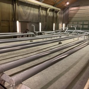 IMG_6914